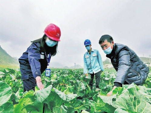春耕保电护航农产品生产