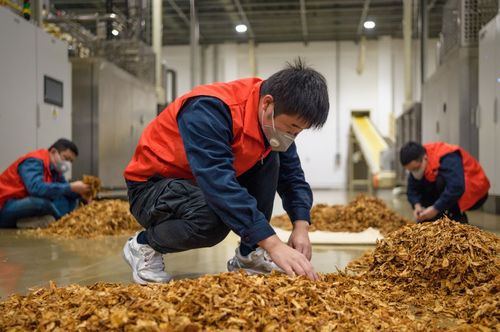 常德卷烟厂以精美化战略提升农产品产品质量