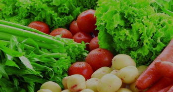 包头市启动农产品质检机构“双百”对接帮扶活动，筑牢质量安全防线