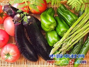 11月9日农产品批发价格指数解析 市场动态与影响因素