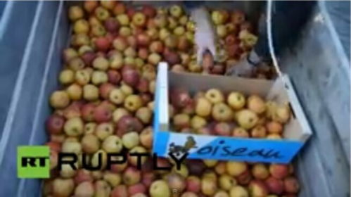 法国农民的愤怒 产品降价危机与抗议浪潮