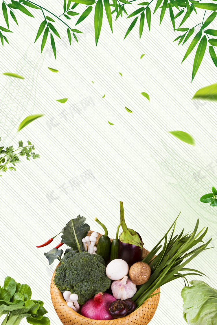 田间清新风 绿色农产品的自然美学与健康价值