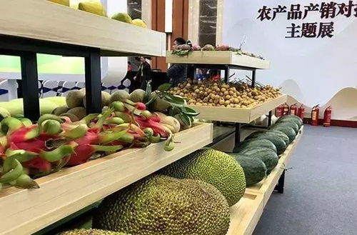 加快完善农产品产销对接体系，推动农业农村现代化发展